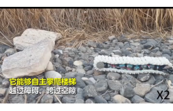 &#20048;&#21160;&#32593;&#39029;&#29256;&#95;&#20048;&#21160;&#40;&#20013;&#22269;&#41;