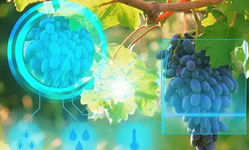 &#20048;&#21160;&#32593;&#39029;&#29256;&#95;&#20048;&#21160;&#40;&#20013;&#22269;&#41;