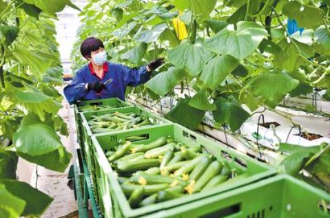 &#20048;&#21160;&#32593;&#39029;&#29256;&#95;&#20048;&#21160;&#40;&#20013;&#22269;&#41;